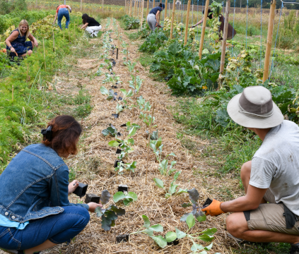 L'impegno dell'azienda