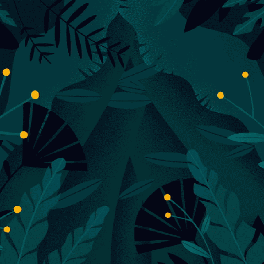 Don’t miss the New Rainforest Alliance Certification Seal