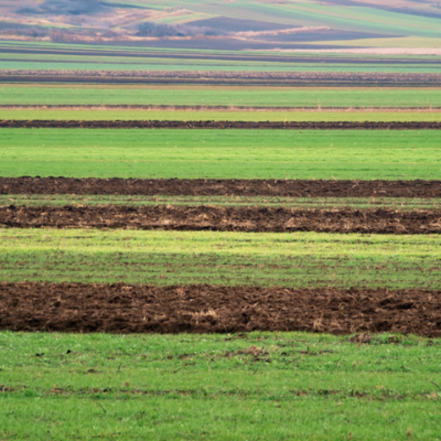 Agroecologia: conheça as formas de manejo do solo