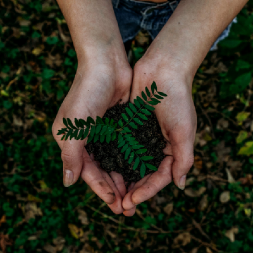 Produtos orgânicos são alinhados com os valores do ESG?