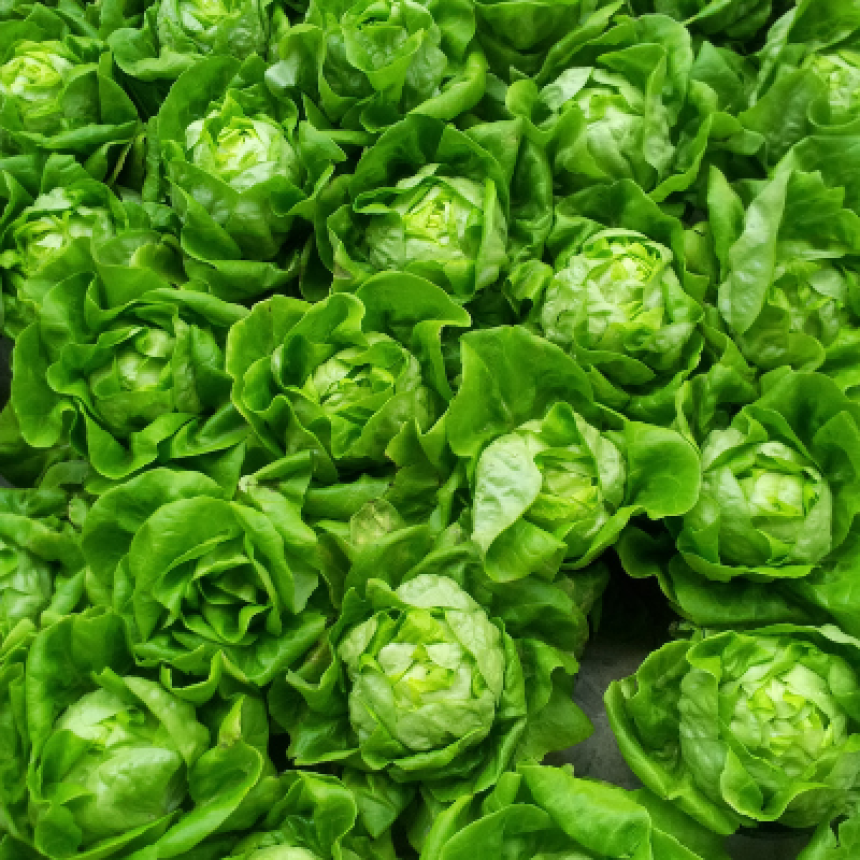 Rastreabilidade de alimentos: como funciona, benefícios e como implementá-la