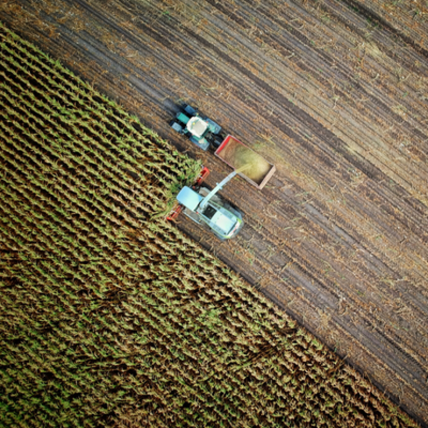 Por que a agricultura convencional não é sustentável?