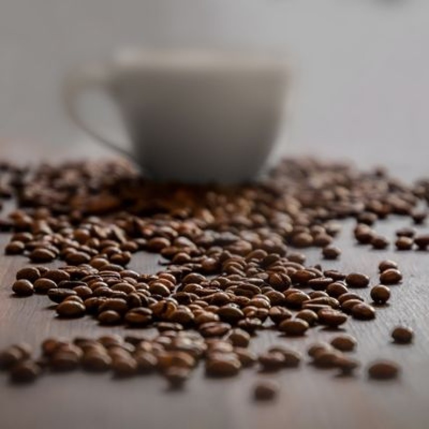 Café ecológico: o que é, como produzir e qual a importância de certificar