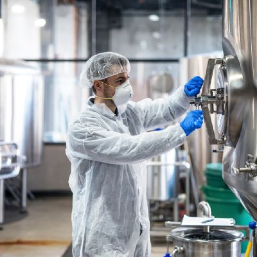 Entenda a importância da agroecologia para a produção sustentável de alimentos