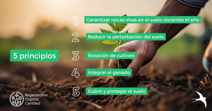Certificación ROC: Agricultura Orgánica Regenerativa