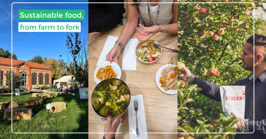 Food Fortnight, a tasty program