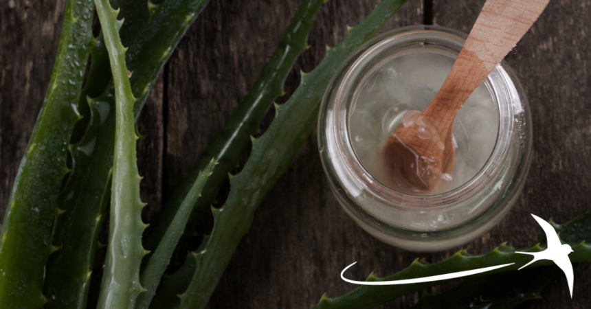 Green Packaging: The New Cosmetics Revolution