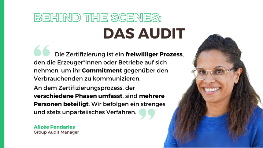 Hinter den Kulissen: Das Audit