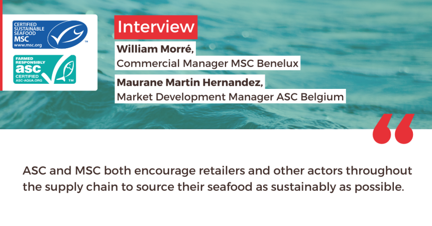 🎙️ Interview - ECOCERT x MSC &amp; ASC