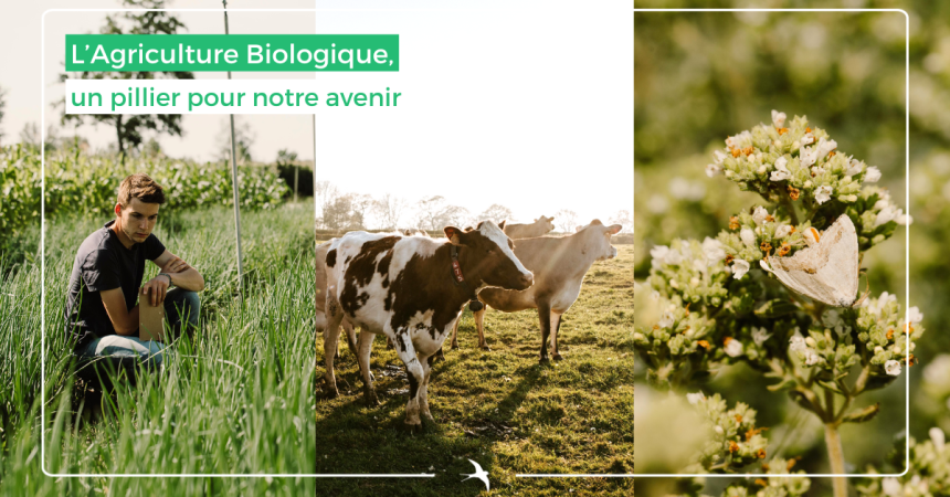 Les bénéfices de l’Agriculture Biologique