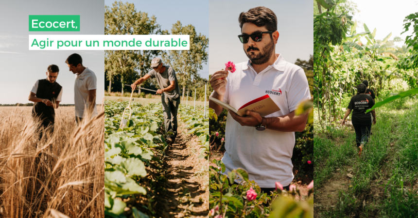 Nos engagements RSE : découvrez comment Ecocert agit pour un monde durable