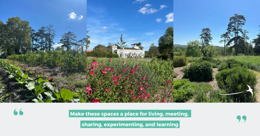 Our company vegetable garden