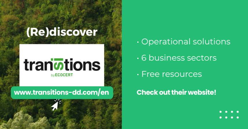Transitions: (Re)discover the Expertise of Our Consulting Subsidiary
