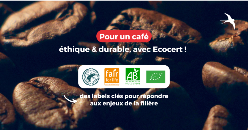 Vers une Tasse de Café Plus Durable : L'Engagement d'Ecocert